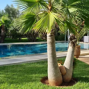 Gasthuis Les Deux Citronniers, Marrakesh